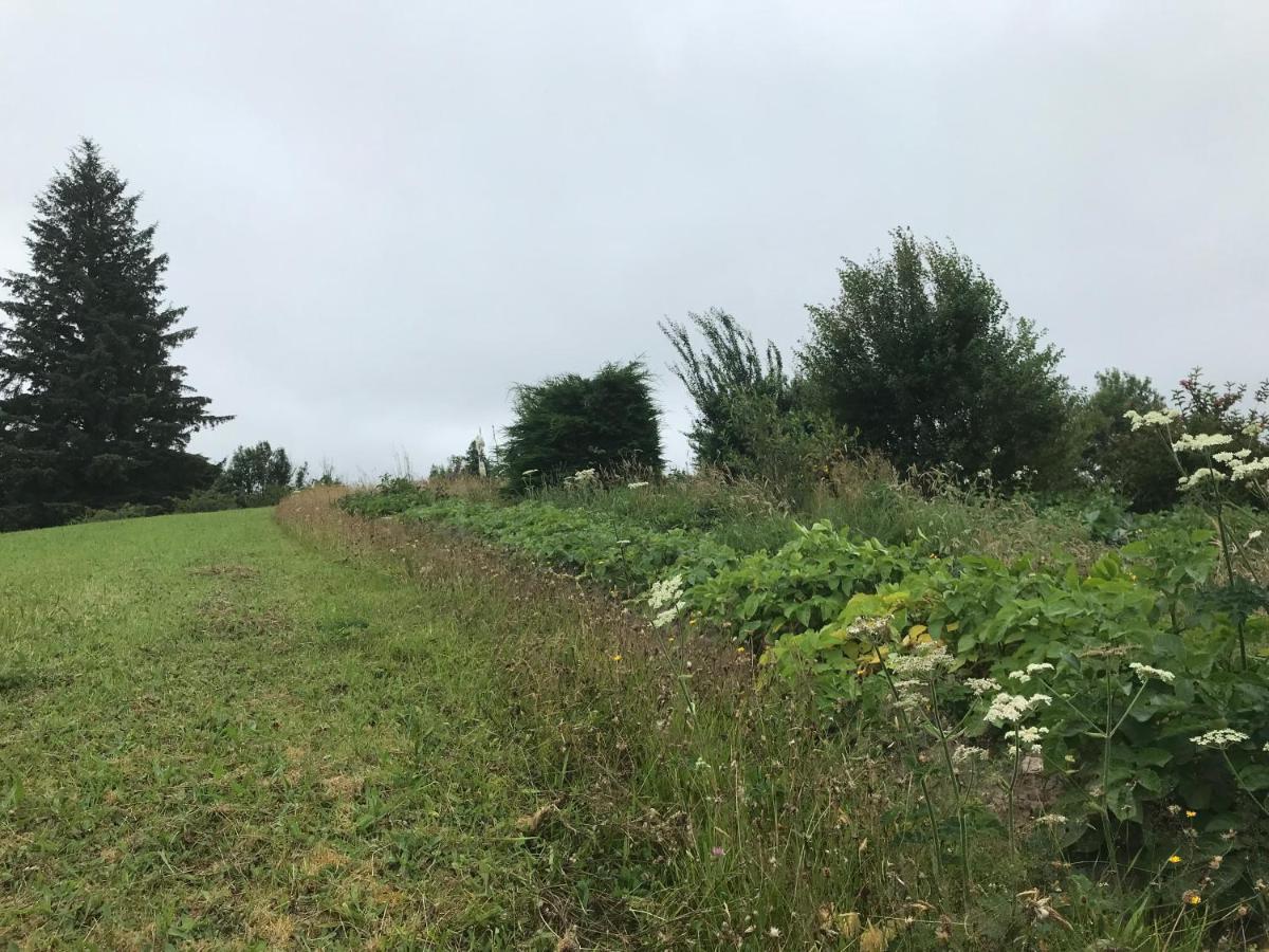 Pat'S Place Leilighet Ballaghaderreen Eksteriør bilde