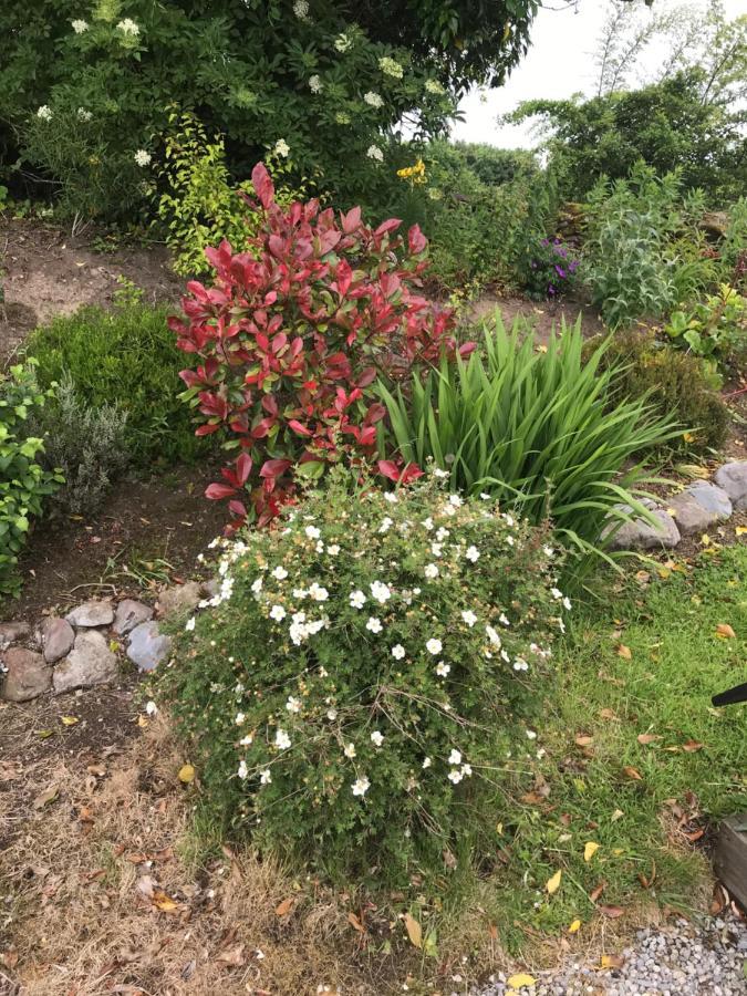 Pat'S Place Leilighet Ballaghaderreen Eksteriør bilde