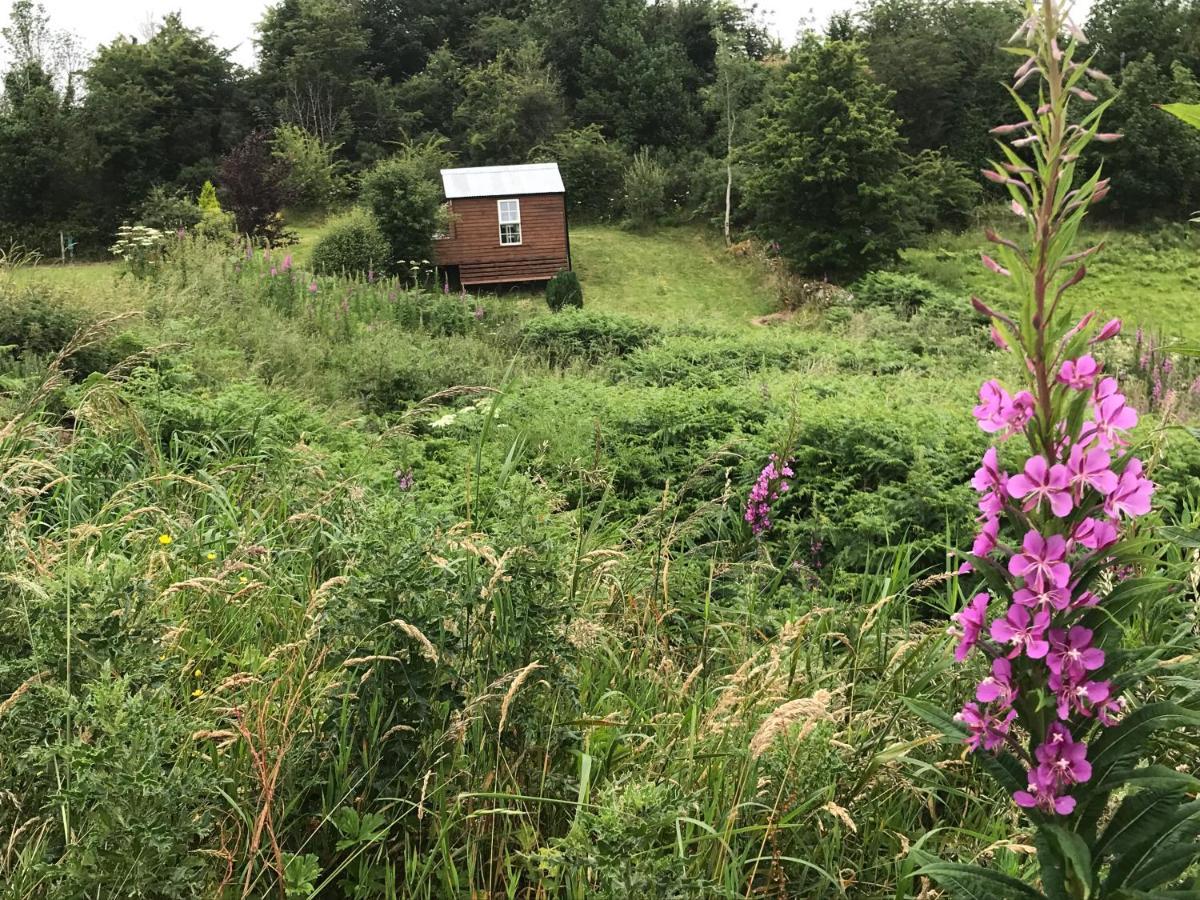 Pat'S Place Leilighet Ballaghaderreen Eksteriør bilde